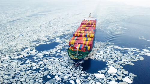 Container Cargo winter